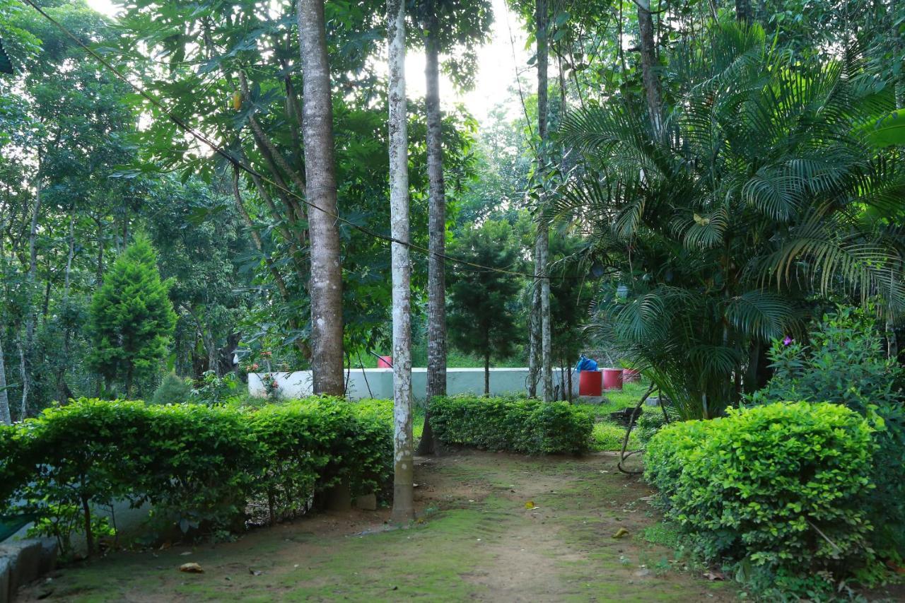 Philip Mary Farm Stay 提喀迪 外观 照片