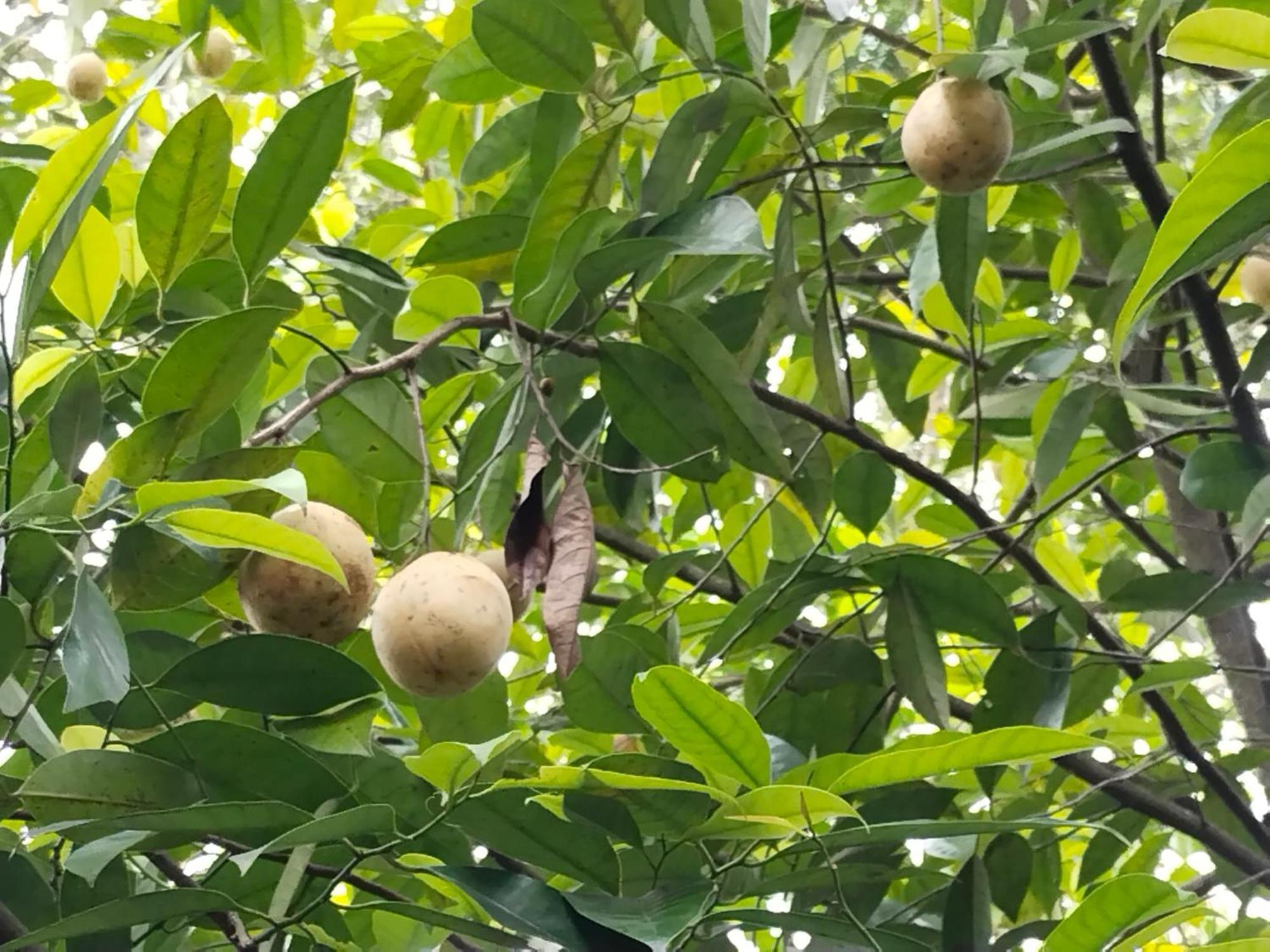 Philip Mary Farm Stay 提喀迪 外观 照片