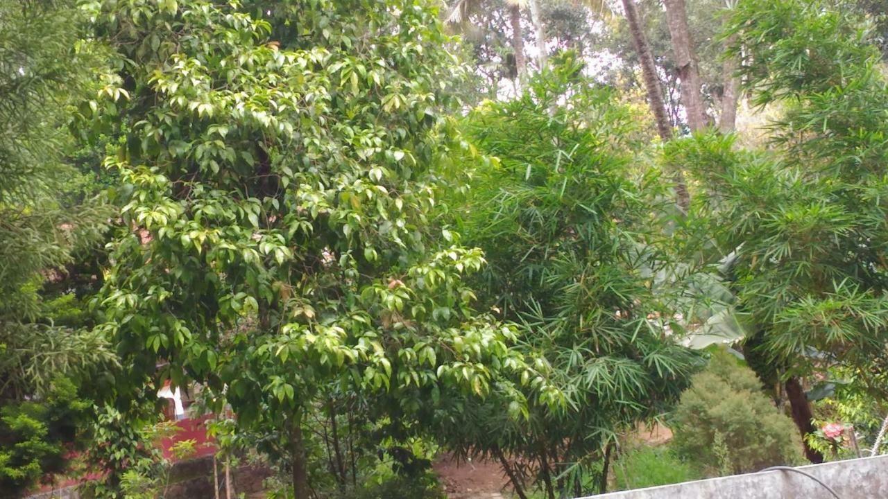 Philip Mary Farm Stay 提喀迪 外观 照片