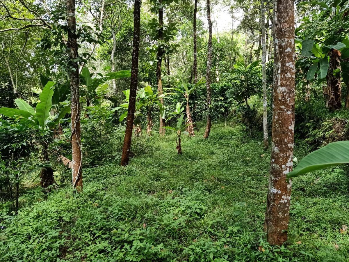 Philip Mary Farm Stay 提喀迪 外观 照片